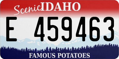 ID license plate E459463