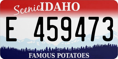 ID license plate E459473