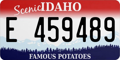 ID license plate E459489