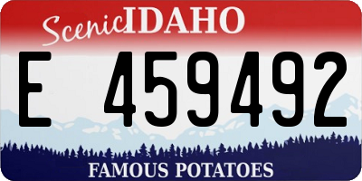 ID license plate E459492