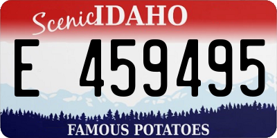 ID license plate E459495