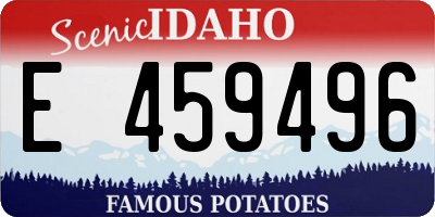 ID license plate E459496