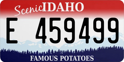 ID license plate E459499