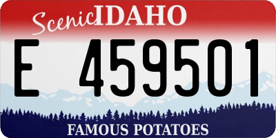 ID license plate E459501