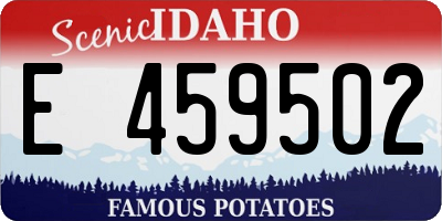 ID license plate E459502
