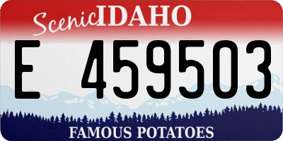ID license plate E459503