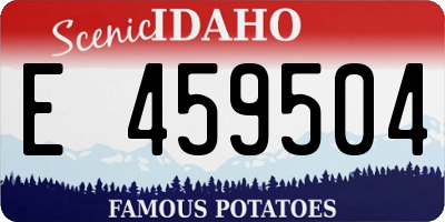 ID license plate E459504