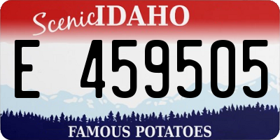 ID license plate E459505