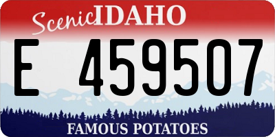 ID license plate E459507
