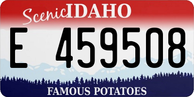 ID license plate E459508