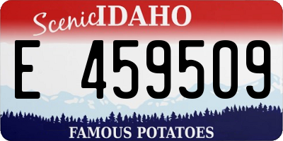 ID license plate E459509