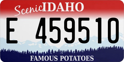 ID license plate E459510