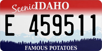 ID license plate E459511