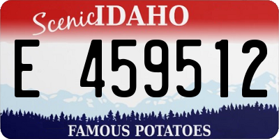 ID license plate E459512