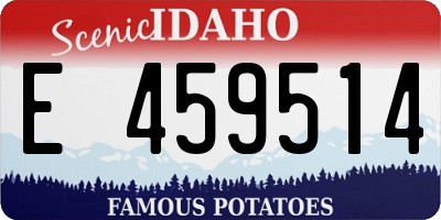 ID license plate E459514
