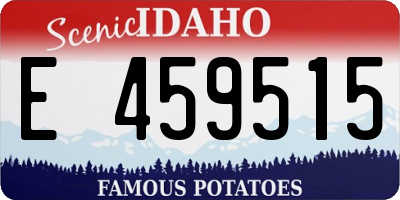 ID license plate E459515