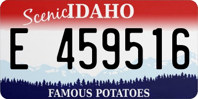ID license plate E459516