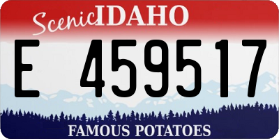 ID license plate E459517
