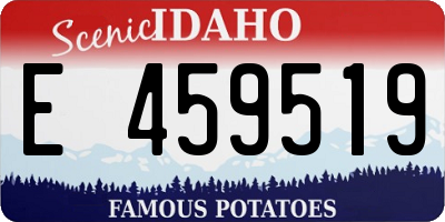 ID license plate E459519
