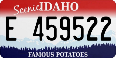 ID license plate E459522