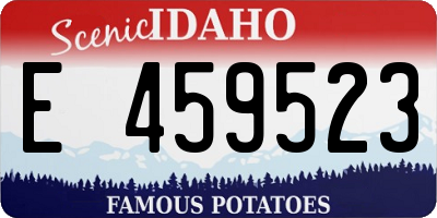 ID license plate E459523