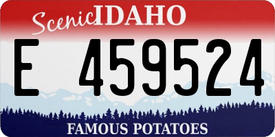 ID license plate E459524