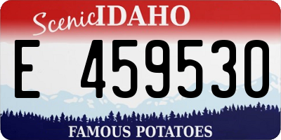 ID license plate E459530