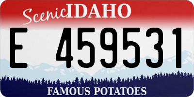 ID license plate E459531