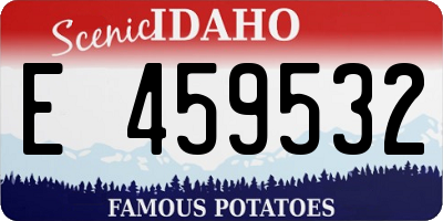 ID license plate E459532