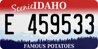 ID license plate E459533