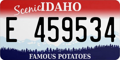 ID license plate E459534