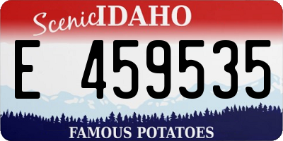 ID license plate E459535