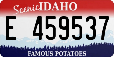 ID license plate E459537