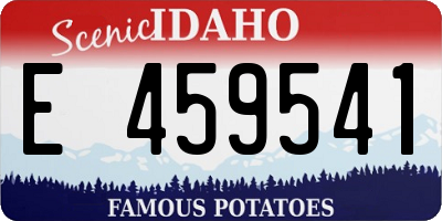 ID license plate E459541