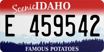 ID license plate E459542
