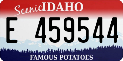 ID license plate E459544