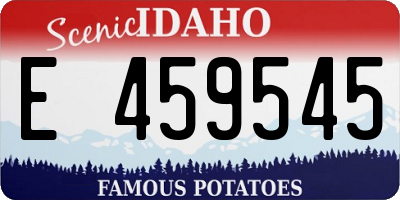 ID license plate E459545
