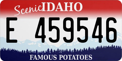 ID license plate E459546
