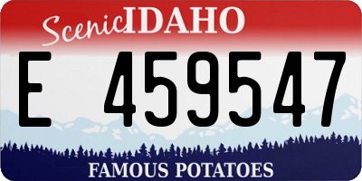 ID license plate E459547