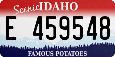 ID license plate E459548