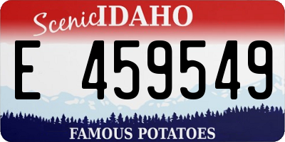 ID license plate E459549