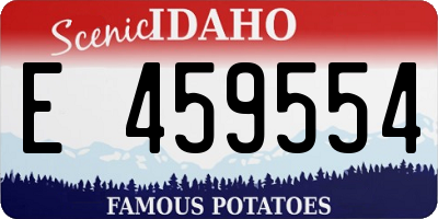 ID license plate E459554