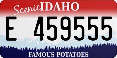 ID license plate E459555