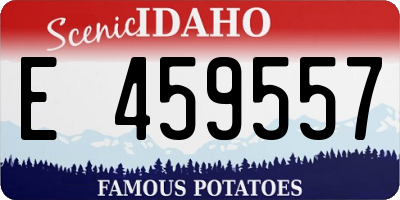 ID license plate E459557