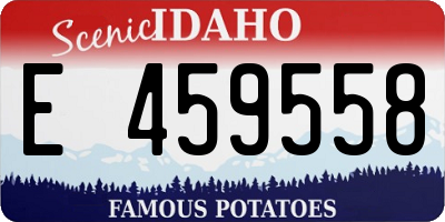 ID license plate E459558