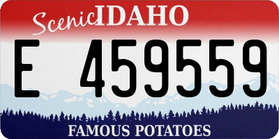 ID license plate E459559