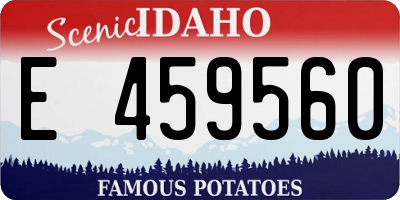 ID license plate E459560