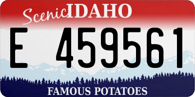 ID license plate E459561
