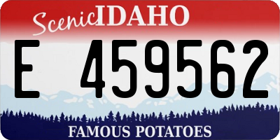 ID license plate E459562
