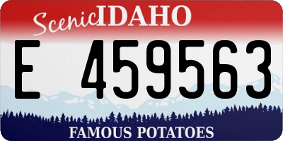ID license plate E459563
